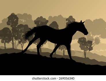 Wild horse in nature vector background landscape freedom concept