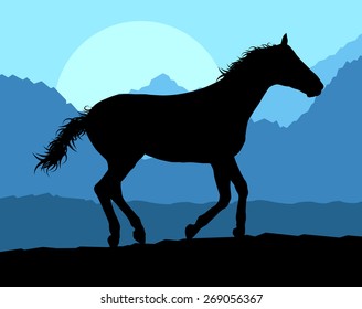 Wild horse in nature vector background landscape freedom concept