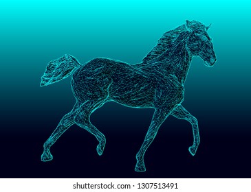 wild horse running