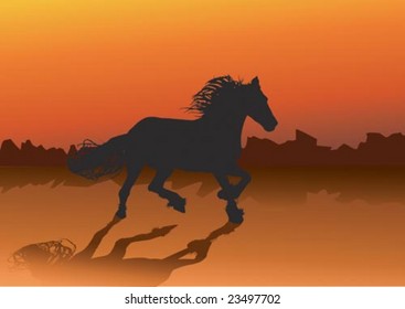 wild horse running through the desert in the evening