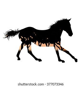Wild horse silhouette made of abstract background forest landscape all isolated on white
