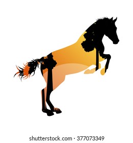Wild horse silhouette made of abstract background forest landscape all isolated on white