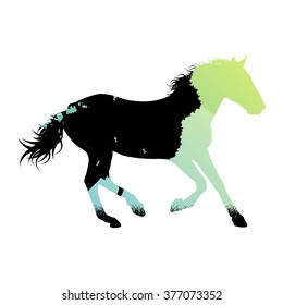 Wild horse silhouette made of abstract background forest landscape all isolated on white