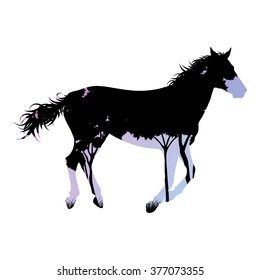 Wild horse silhouette made of abstract background forest landscape all isolated on white