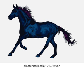 Wild Horse vector illustration