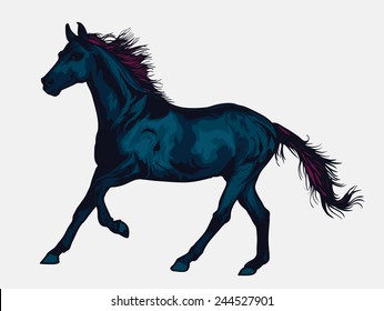 wild horse vector illustration