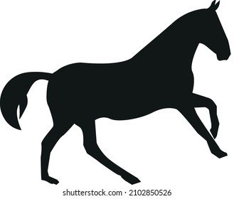 Wild horse vector illustration. Animal signs and symbols.