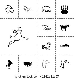 Wild icon. collection of 13 wild filled and outline icons such as alligator, buffalo, goose, bear, lion, mouse, goat, animal paw. editable wild icons for web and mobile.