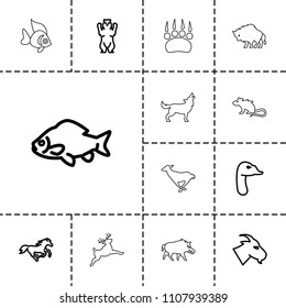 Wild icon. collection of 13 wild outline icons such as bear, fish, goat, horse, goose, animal paw, hog, mouse, buffalo, antelope, deer. editable wild icons for web and mobile.
