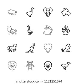 Wild icon. collection of 16 wild outline icons such as lion, animal paw, horse, goat, antelope, goose, cangaroo, elephant, rabbit. editable wild icons for web and mobile.