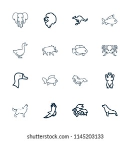 Wild icon. collection of 16 wild outline icons such as goose, lion, bear, eagle, cangaroo, fish, seal, hog, octopus, horse, wolf. editable wild icons for web and mobile.