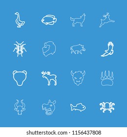 Wild icon. collection of 16 wild outline icons such as moose, octopus, eagle, goose, ant, fish, bear, animal paw, hog, hippopotamus. editable wild icons for web and mobile.