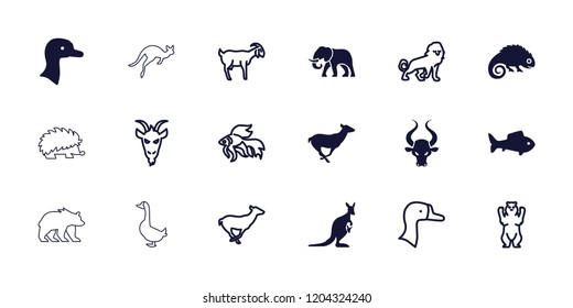 Wild icon. collection of 18 wild filled and outline icons such as goose, antelope, fish, bear, lion, goat, elephant, bull, kangaroo. editable wild icons for web and mobile.