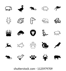 Wild icon. collection of 25 wild filled and outline icons such as mouse, parrot, deer, chameleon, hippopotamus, goose, paw, fish. editable wild icons for web and mobile.