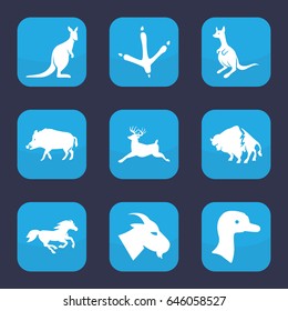 Wild icon. set of 9 filled wild icons such as goose, hog, footprint of  icobird, buffalo, goat, kangaroo, deer