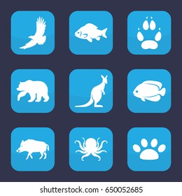 Wild icon. set of 9 filled wild icons such as hog, bear, octopus, fish, eagle, kangaroo, animal paw