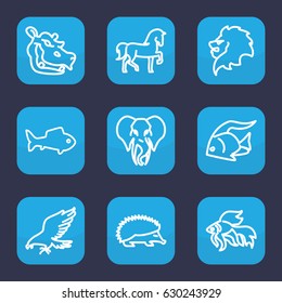 Wild icon. set of 9 outline wild icons such as fish, eagle, lion, horse, hedgehog, hippopotamus