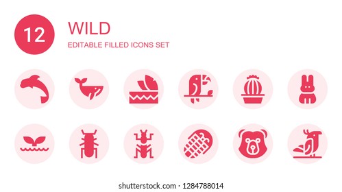 wild icon set. Collection of 12 filled wild icons included Dolphin, Whale, Headdress, Toucan, Cactus, Beetle, Mantis, Fossil, Bear, Rabbit, Parrot