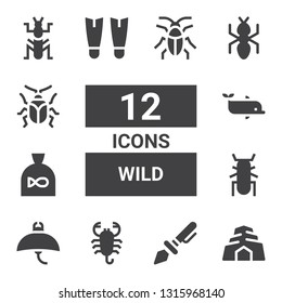 wild icon set. Collection of 12 filled wild icons included Cave, Prehistoric, Scorpion, Manta ray, Beetle, Fish, Dolphin, Fins, Ant, Mantis, Cockroach