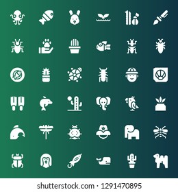 wild icon set. Collection of 36 filled wild icons included Camel, Cactus, Whale, Fish, Penguin, Beetle, Wasp, Elephant, Cowboy hat, Ladybird, Dragon fly, Dolphin, Parrot, Fins