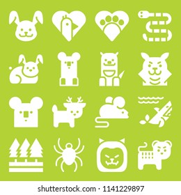 wild icon set. With forest, lion and wolf  vector icons for graphic design and web