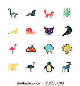 wild icon set. vector set about penguin, owl, monkey and ermine icons set.
