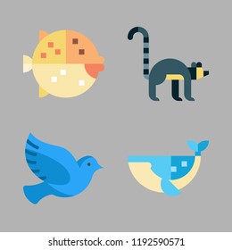 wild icon set. vector set about puffer fish, pigeon, whale and lemur icons set.