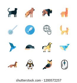 wild icon set. vector set about penguin, bird, zebra and hyena icons set.