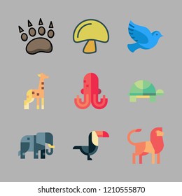 wild icon set. vector set about pigeon, giraffe, animal and mushroom icons set.
