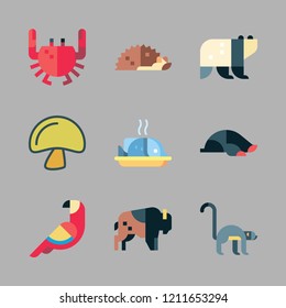 wild icon set. vector set about panda bear, crab, parrot and bison icons set.
