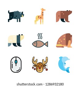 wild icon set. vector set about bear, dolphin, mouse and giraffe icons set.