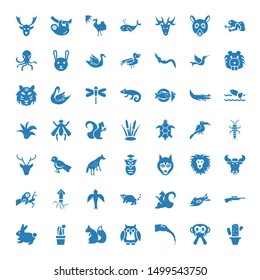 wild icons. Editable 49 wild icons. Included icons such as Cactus, Monkey, Ant Eater, Owl, Squirrel, Rabbit, Hunting, Fish, Raccoon, Bird, Squid, sloth. wild trendy icons for web.