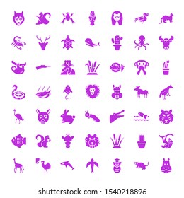 wild icons. Editable 49 wild icons. Included icons such as Hippopotamus, Raccoon, Owl, Bird, Grampus, Camel, Giraffe, Monkey, Cactus, Reed, Beaver. wild trendy icons for web.