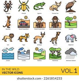 In the wild icons including desert, dry heat, camel, sun, sand dune, cactus, cacti, oasis, animal skull, water canteen, treasure map, snake, land, pyramids, temple, tent, buggy, music festival.