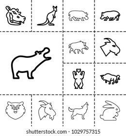 Wild icons. set of 13 editable outline wild icons such as hippopotamus, bear, goat, buffalo, cangaroo, rabbit, hog