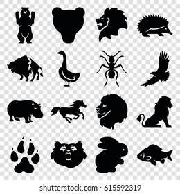 Wild icons set. set of 16 wild filled icons such as rabbit, bear, lion, animal paw, hedgehog, fish, buffalo, eagle, goose, ant, horse
