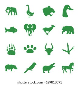 Wild icons set. set of 16 wild filled icons such as animal paw, bear, hippopotamus, horse, panther, goose, footprint of  icobird, elephant, antelope, parrot, bull, fish