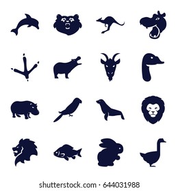 Wild icons set. set of 16 wild filled icons such as rabbit, bear, hippopotamus, lion, fish, footprint of  icobird, parrot, kangaroo, goose, goat, seal