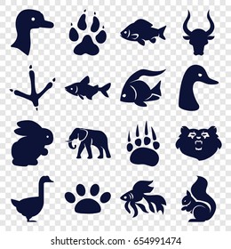 Wild icons set. set of 16 wild filled icons such as rabbit, goose, animal paw, bear, fish, footprint of  icobird, elephant, squirrel, bull