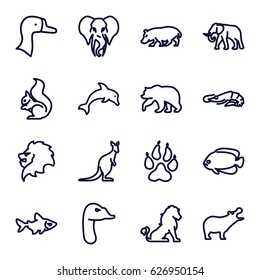 Wild icons set. set of 16 wild outline icons such as lion, animal paw, bear, alligator, hippopotamus, elephant, fish, squirrel, cangaroo, goose