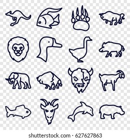 Wild icons set. set of 16 wild outline icons such as animal paw, hog, fish, lion, buffalo, elephant, cangaroo, goat, goose, hippopotamus