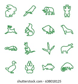 Wild icons set. set of 16 wild outline icons such as alligator, hippopotamus, bear, footprint of  icobird, buffalo, elephant, cangaroo, squirrel, parrot, deer, chameleon