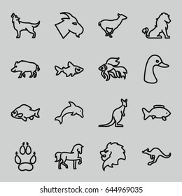 Wild icons set. set of 16 wild outline icons such as lion, hog, horse, goose, fish, goat, antelope, cangaroo, wolf, animal paw