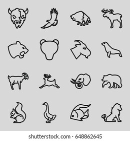 Wild icons set. set of 16 wild outline icons such as lion, moose, fish, bear, panther, buffalo, eagle, goat, goose, squirrel, deer, elephant