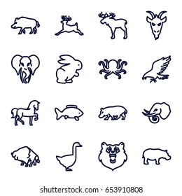 Wild icons set. set of 16 wild outline icons such as bear, hog, moose, eagle, horse, octopus, buffalo, deer, goose, hippopotamus, elephant, goat, rabbit