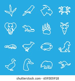Wild icons set. set of 16 wild outline icons such as animal paw, lion, alligator, bear, octopus, goose, footprint of  icobird, mouse, goat, antelope, parrot, cangaroo, fish