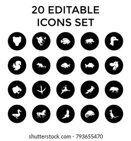 Wild icons. set of 20 editable filled wild icons such as goose, hog, hippopotamus, horse, panther, fish, footprint of  icobird. best quality wild elements in trendy style.