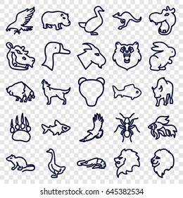 Wild icons set. set of 25 wild outline icons such as animal paw, bear, hippopotamus, lion, alligator, eagle, mouse, buffalo, goat, fish, goose, ant, cangaroo, wolf