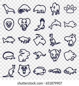 Wild icons set. set of 25 wild outline icons such as bear, hippopotamus, lion, alligator, hedgehog, panther, fish, eagle, goat, buffalo, cangaroo, chameleon, elephant, seal