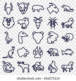 Wild icons set. set of 25 wild outline icons such as bear, animal paw, moose, hippopotamus, horse, lion, panther, mouse, elephant, goat, goose, squirrel, ant, bull, cangaroo